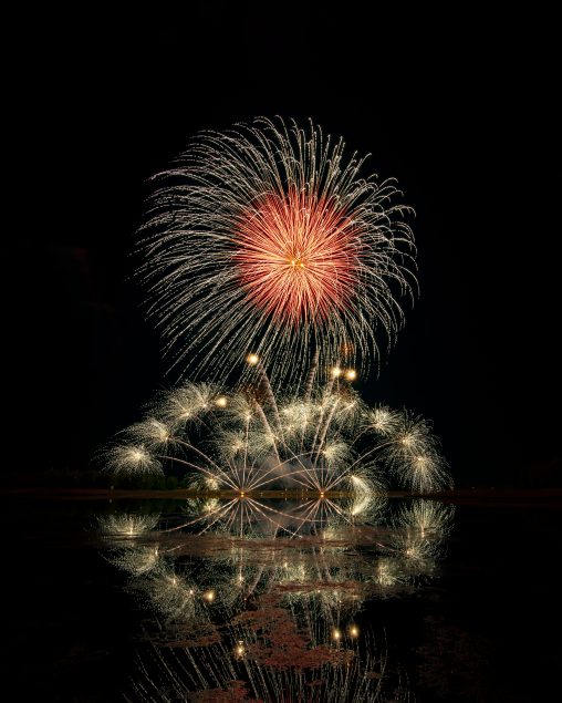 3rd Place, Gorgeous display, Yvonne Nguyen